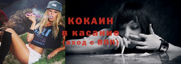 дмт Аркадак